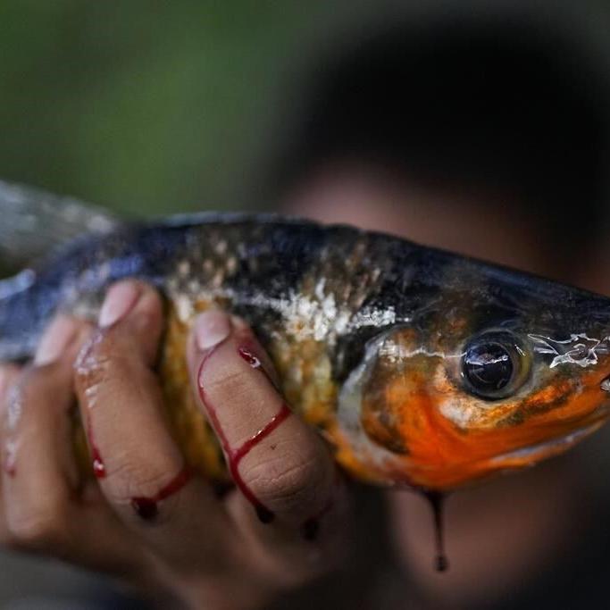 In the Amazon, Indigenous women bring a tiny tribe back from the brink of extinction